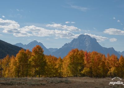 MaryHolm Grand Teton National Park Photography