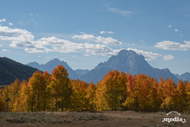 MaryHolm Grand Teton National Park Photography