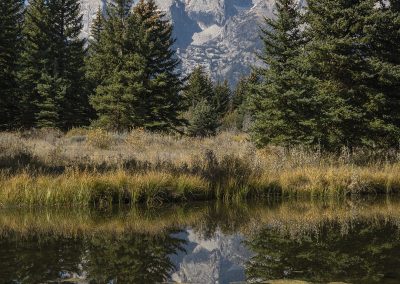 MaryHolm Grand Teton National Park Photography