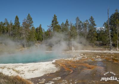 Mary Holm Yellowstone Photography