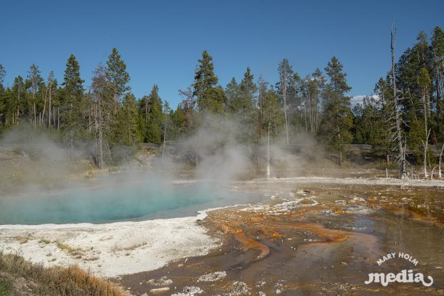 Mary Holm Yellowstone Photography