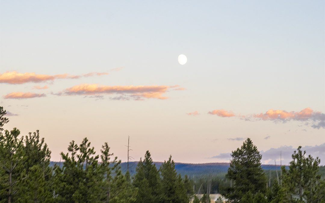 Yellowstone Photography