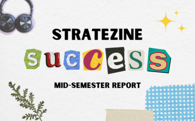 Stratezine Progress Report